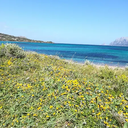 Gasthof Al Lungomare *