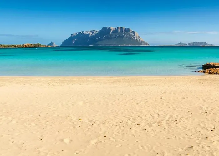 Al Lungomare בית הארחה אולביה